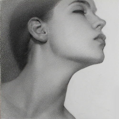 graphite portrait of Lyra by Lisa Rickard