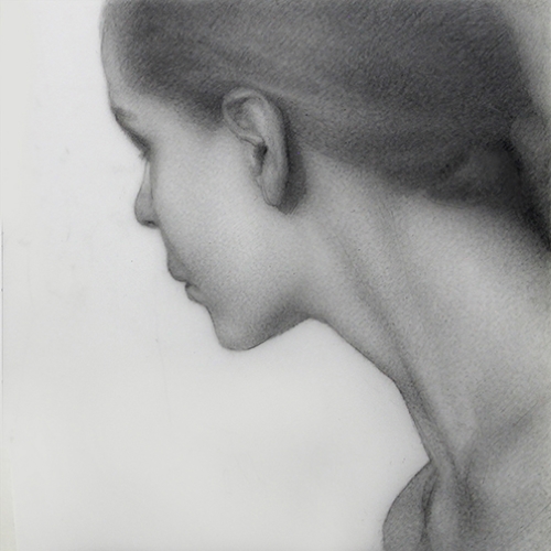 graphite portrait of Vega by Lisa Rickard