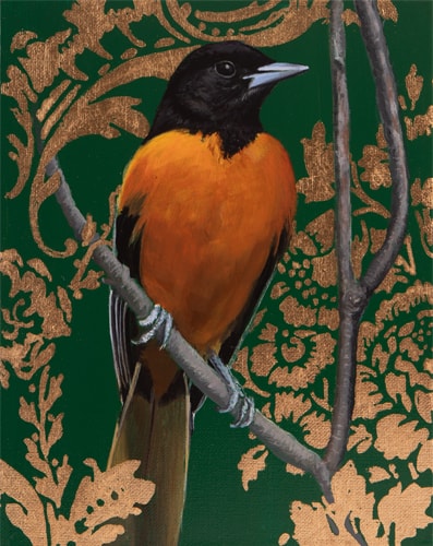 painting of a Baltimore Oriole by Sabra Crockett