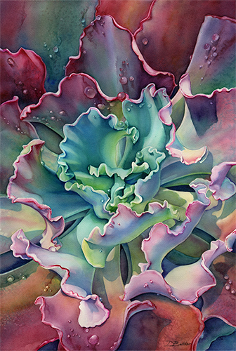 watercolor of a succulent by Debbie Bakker 