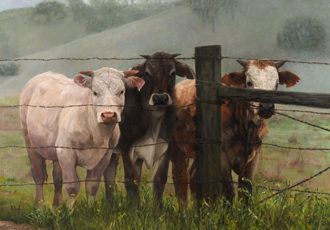 painting of cattle at a fence by Krista Lee Johnson