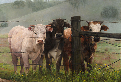 painting of cattle at a fence by Krista Lee Johnson
