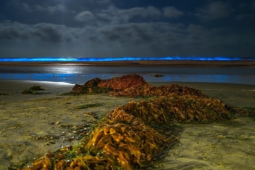 photograph of bio luminescence at La Jolla Shores, San Diego, CA by Brian McClean