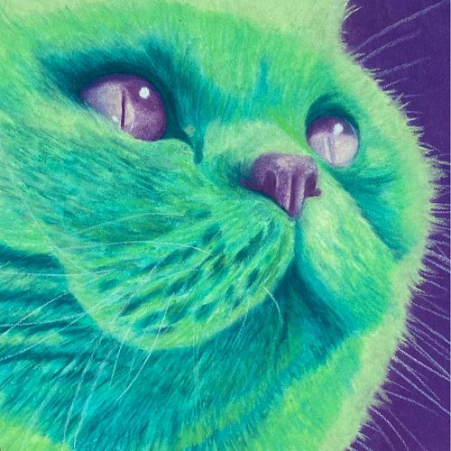 pastel cat portrait in green by Rachel Perls