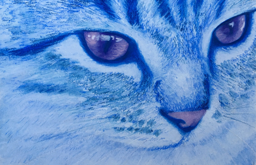 pastel cat portrait in blue by Rachel Perls