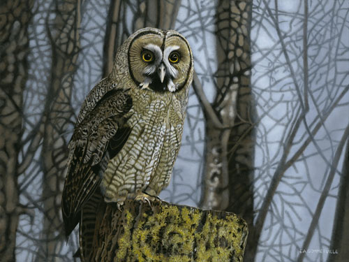 egg tempura painting of an owl in a tree by Elisabeth Sommerville