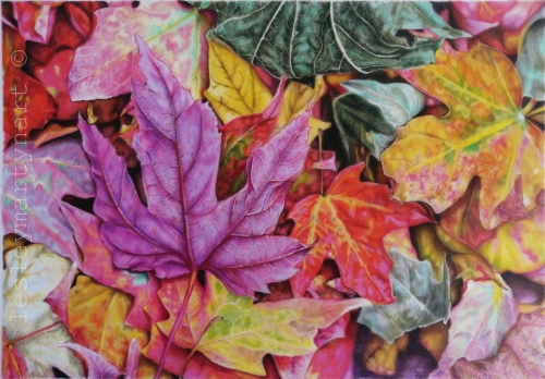 colored pencil drawing of leaves by Lesley Martyn