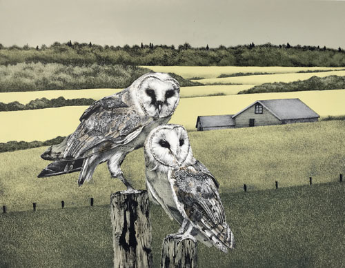 lithograph of two owls in a field by Elisabeth Sommerville