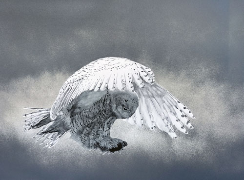 lithograph of an owl flying by Elisabeth Sommerville