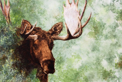 pyrography mixed media painting of a bull moose by Julie Bender