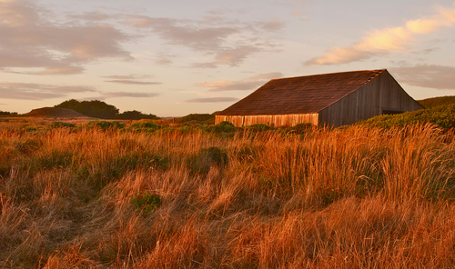 photograph of a barn in a golden field by Jim Grossman