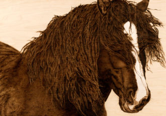 pyrography mixed media painting of a draft horse by Julie Bender