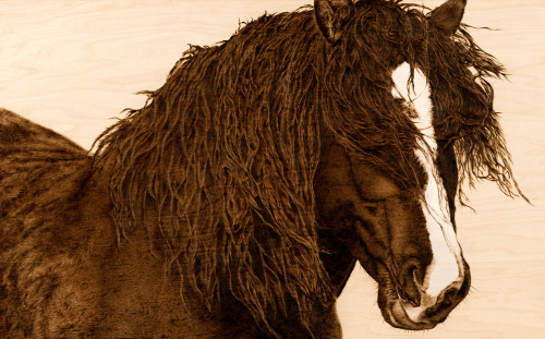 pyrography mixed media painting of a draft horse by Julie Bender