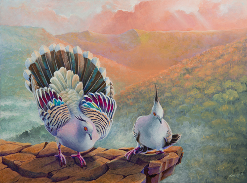 painting of Australian birds by Swapnil Nevgi