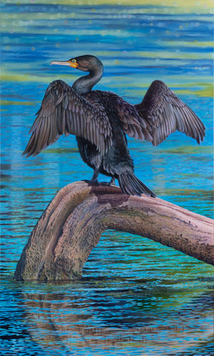 painting of a cormorant by Swapnil Nevgi