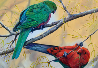 painting of Australian parrots by Swapnil Nevgi