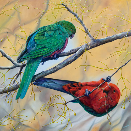 painting of Australian parrots by Swapnil Nevgi