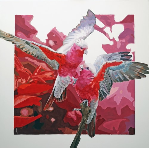 painting of Australian birds by Karen Bloomfield