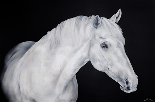 oil painting of a white horse named Jasper by Nikki Carr