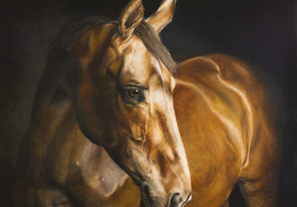 oil painting of Tikob, a horse, by Nikki Carr