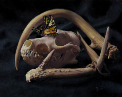 oil still life of a deer skull and antlers by Barbara Fox