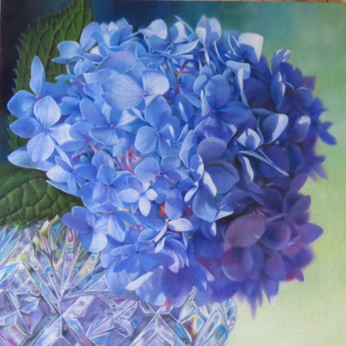 oil portrait of a hydrangea by Barbara Fox