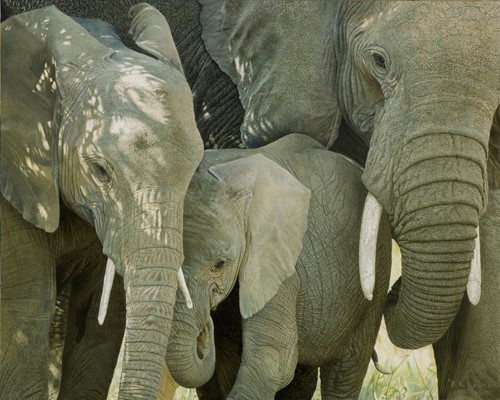 painting of a family of African elephants by Bruce K. Lawes