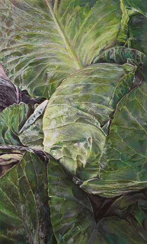 pastel of cabbage leaves by Maryann Mullett