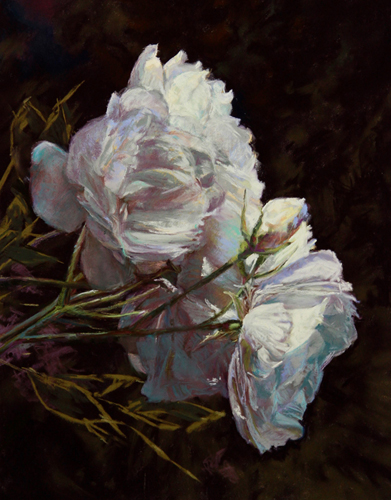 pastel of a white flower by Maryann Mullett