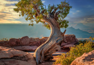 photograph of Dead Horse Point by Beth Sheridan