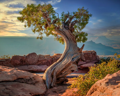 photograph of Dead Horse Point by Beth Sheridan