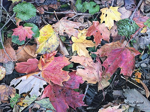 painting of fall leaves by Lynn Garwood