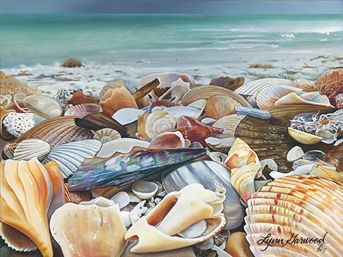 painting of shells on the shore by Lynn Garwood