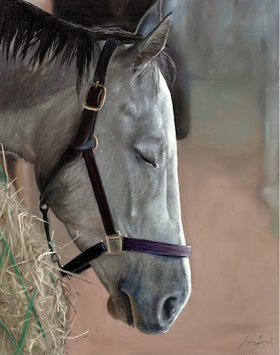 painting of a dozing horse by Jessica Leonard