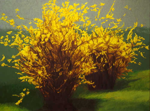 landscape painting of a forsythia by Helen Vaughn