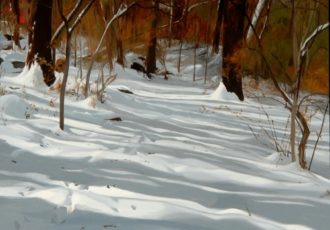 snowy wooded landscape by Helen Vaughn