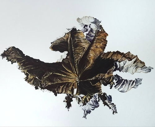 watercolor of a leaf by Karlene Francois