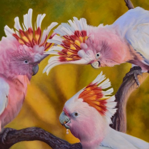 painting of Mitchell Cockatoos by Nicky Shelton