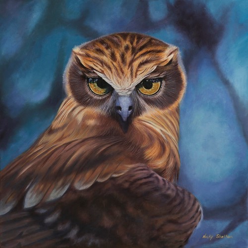 painting of a Southern Boobook Owl by Nicky Shelton