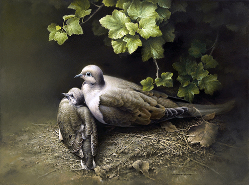 painting of doves by Michael Dumas