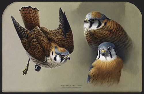 painting of the flight of the Kestrel by Michael Dumas