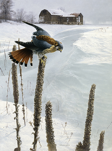 painting of a bird in the snow by Michael Dumas