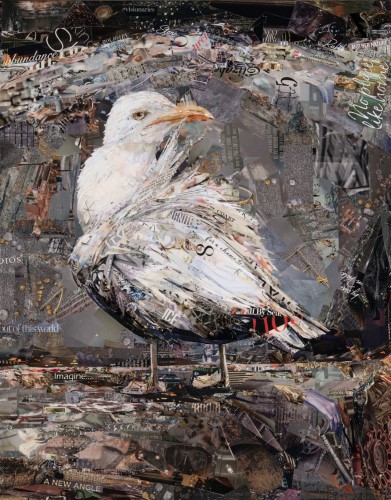 collage of a seagull by Gina Torkos