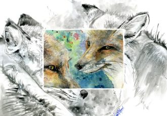 painting of Florida Red Fox by Amber Moran