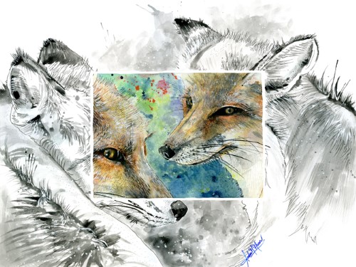 painting of Florida Red Fox by Amber Moran