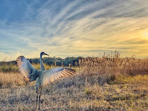 landscape photograph by Kim Ramsey