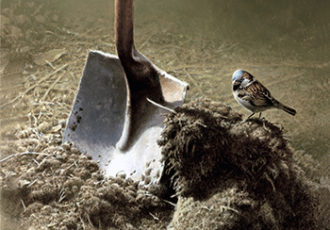 painting of a bird near a shovel by Michael Dumas