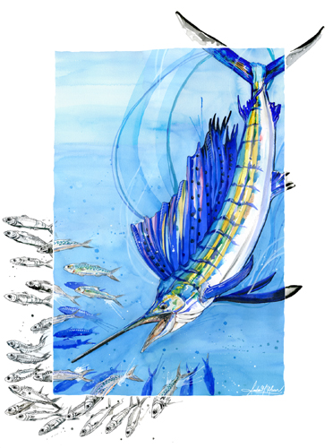 painting of a sailfish by Amber Moran