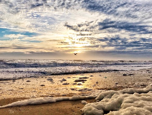 photograph of a beach