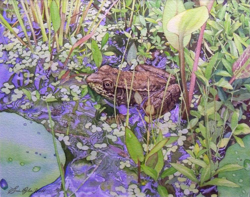 watercolor of a frog in the water by Erin Pyles Webb